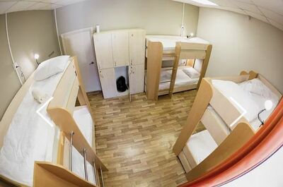 Фотография номера хостела Z Hostel