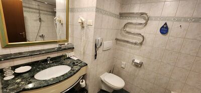 Фотография номера гостиницы Рэдиссон-Славянская