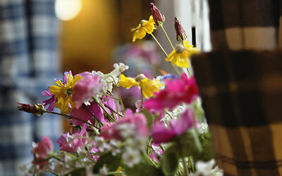 Фотография номера гостиницы Колесо