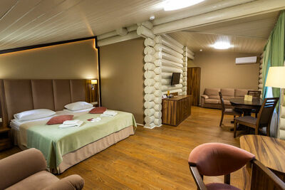 Фотография номера гостиницы Династия