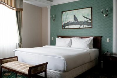 Фотография номера гостиницы Степная Пальмира