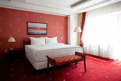 Фотография номера гостиницы Степная Пальмира