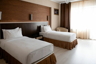 Фотография номера гостиницы Степная Пальмира