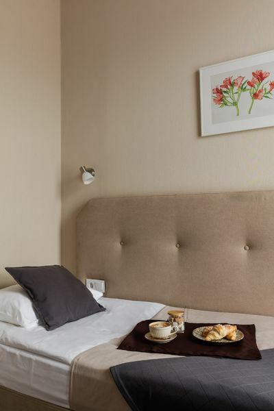 Фотография номера гостиницы Розенштайн Hotel&Spa