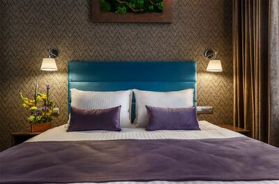 Фотография номера гостиницы Mansilion