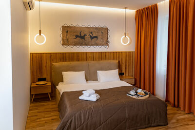 Фотография номера гостиницы Стерх