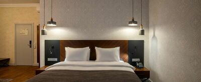 Фотография номера гостиницы Ботаника