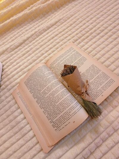 Фотография номера гостиницы Леонидас