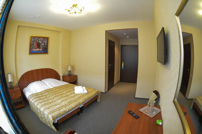 Фотография номера гостиницы Викинг