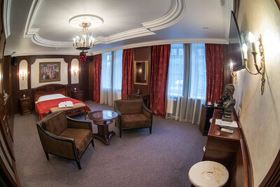 Фотография номера гостиницы Викинг