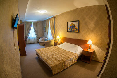 Фотография номера гостиницы Викинг