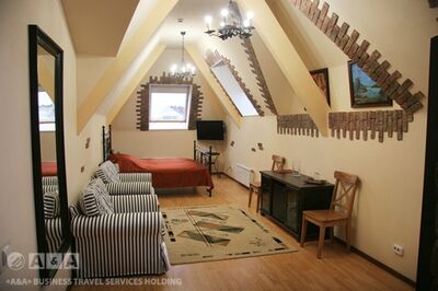 Фотография номера гостиницы Викинг