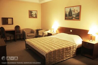 Фотография номера гостиницы Викинг