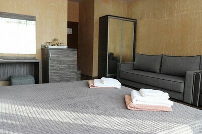 Фотография номера гостиницы Омега плюс