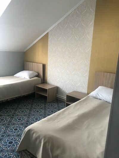 Фотография номера гостиницы Кузнечик Центральная