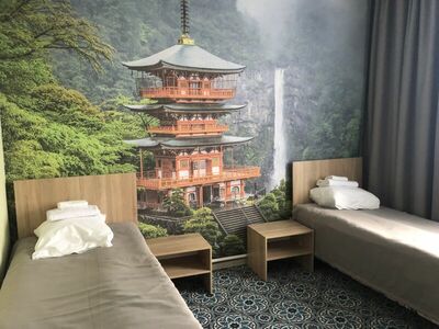 Фотография номера гостиницы Кузнечик Центральная