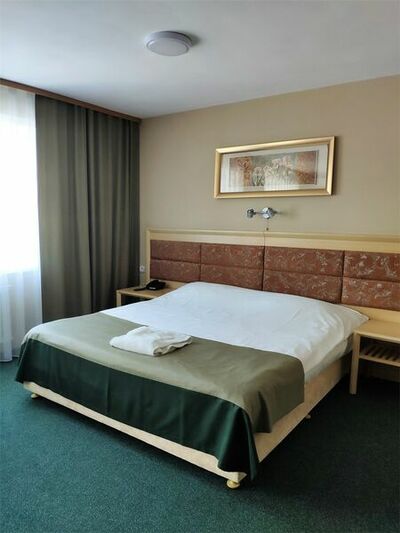 Фотография номера гостиницы Горизонт