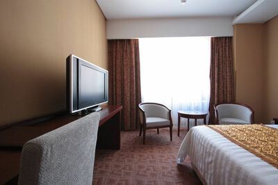 Фотография номера гостиницы Азия