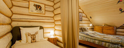 Фотография номера гостиницы Романов лес