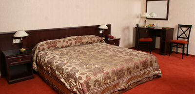 Фотография номера гостиницы Шереметев Парк-Отель