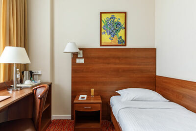 Фотография номера гостиницы Максима Панорама Отель