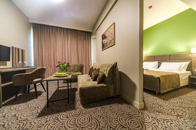 Фотография номера гостиницы ЛОО-АРЕНА