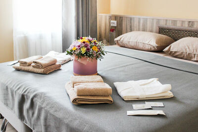 Фотография номера гостиницы Цветы