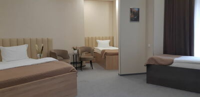 Фотография номера гостиницы Sleepers Avia Hotel DME