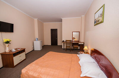 Фотография номера гостиницы Дельфин