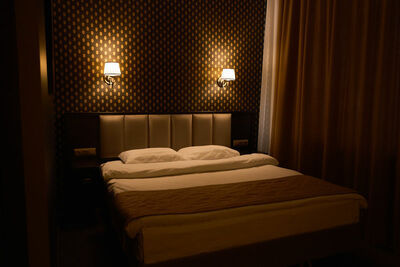 Фотография номера гостиницы Родина