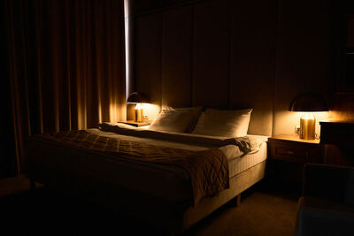 Фотография номера гостиницы Родина