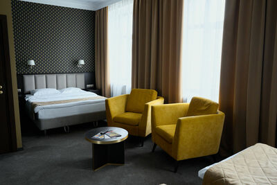 Фотография номера гостиницы Родина