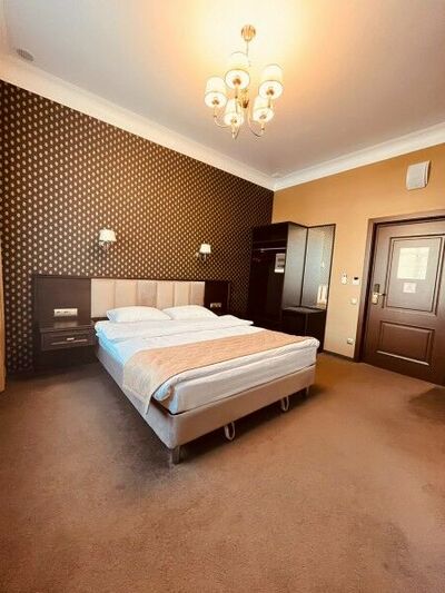 Фотография номера гостиницы Родина