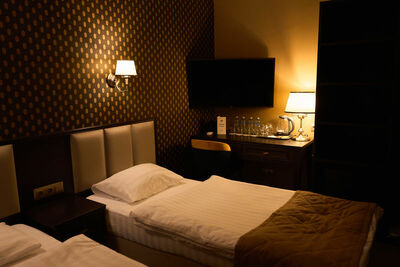 Фотография номера гостиницы Родина