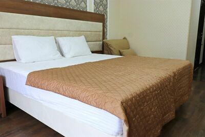 Фотография номера гостиницы Афалина