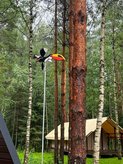 Фотография номера гостиницы Конаково.Аэро