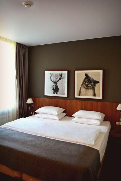 Фотография номера гостиницы Северная