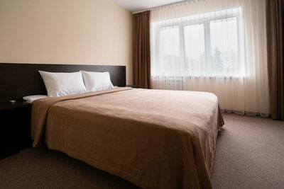 Фотография номера гостиницы Борус