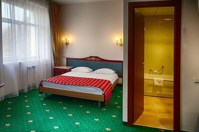 Фотография номера гостиницы Отель Парк Крестовский