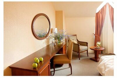 Фотография номера гостиницы Баташев