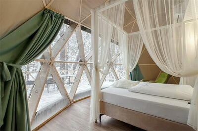 Фотография номера гостиницы Парк-отель Хвоя