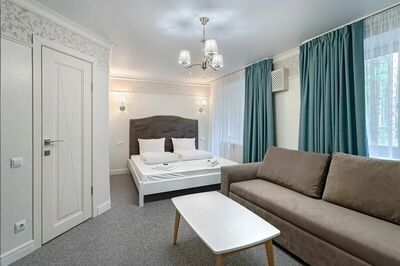 Фотография номера гостиницы Парк-отель Хвоя