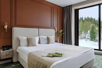 Фотография номера гостиницы Маири Парк Отель