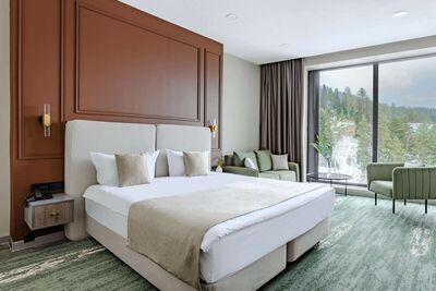 Фотография номера гостиницы Маири Парк Отель