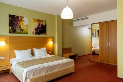 Фотография номера гостиницы Евразия