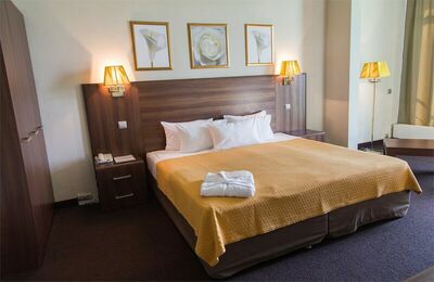 Фотография номера гостиницы Бизнес-отель Золотой Затон