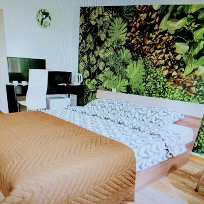 Фотография номера мини отеля Pastel Lux