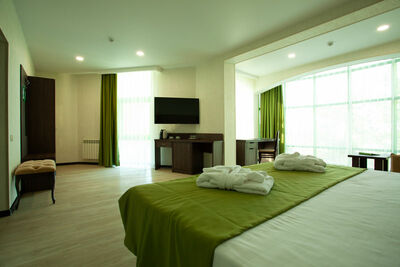 Фотография номера гостиницы Экодом Сочи