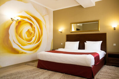 Фотография номера гостиницы Премьер-отель