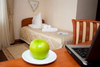 Фотография номера гостиницы Европа